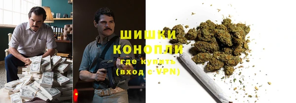 прущие крисы Инсар